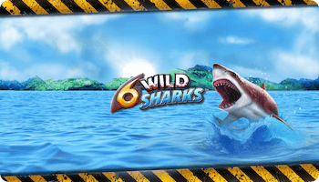 6 Wild Sharks Slot Review