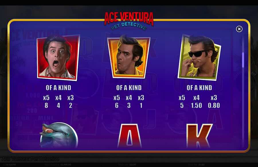 Ace Ventura Pet Detective Slot Paytable