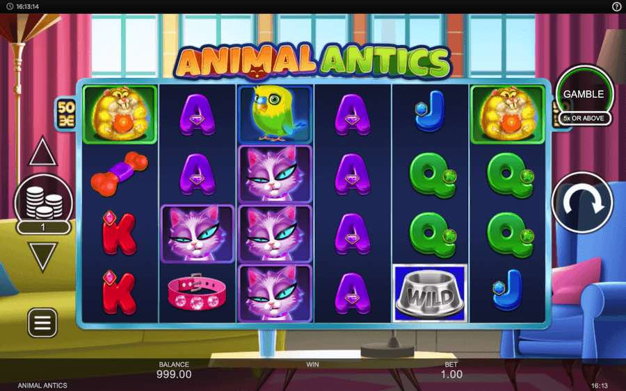 Play With 6 Reels, 50 Paylines, And Win Up To 12,500x Your Bet In The Animal Antics Online Slot From Provider Inspired Gaming