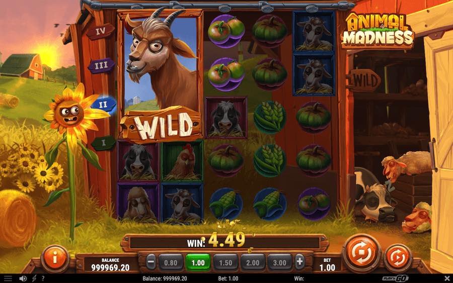 The More Consecutive Wins That You Achieve On Animal Madness Video Slot, The More Modifiers The Sunflower Will Award