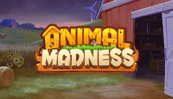 Animal Madness Slot Review