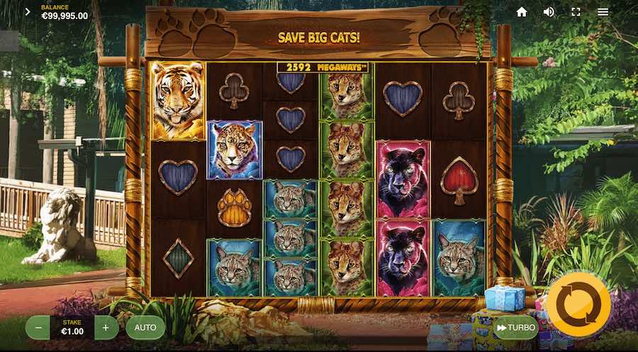 Win Up To 10,000x Your Bet In Red Tiger Gaming's Big Cat Rescue Megaways Online Slot