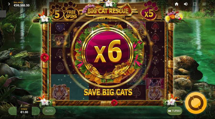 A Minimum Of 3 Scatter Symbols Will Need To Land In View For The Free Spins Feature To Be Triggered On Big Cat Rescue Megaways Video Slot