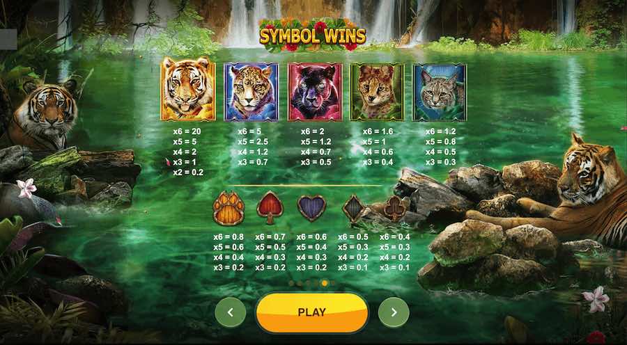 Big Cat Rescue Megaways Slot Paytable