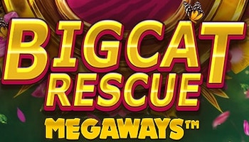 Big Cat Rescue Megaways Slot Review