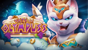 Cats of Olympuss Slot