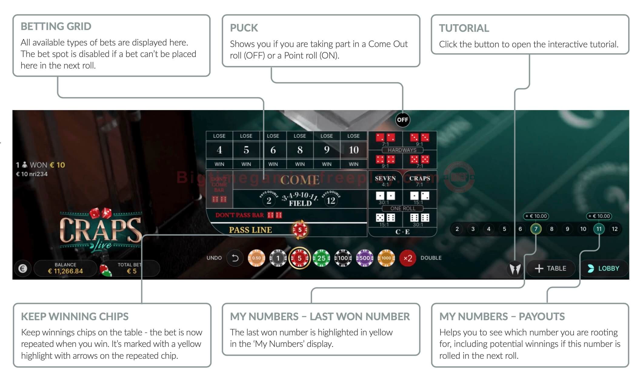 Betting Grid On Evolution's Live Craps