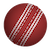 Cricket Crash logo