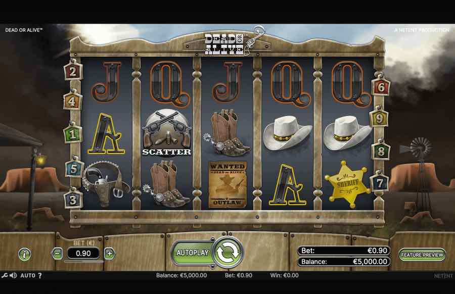 Dead Or Alive Slot Base Game