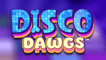 Disco Dawgs Slot Review