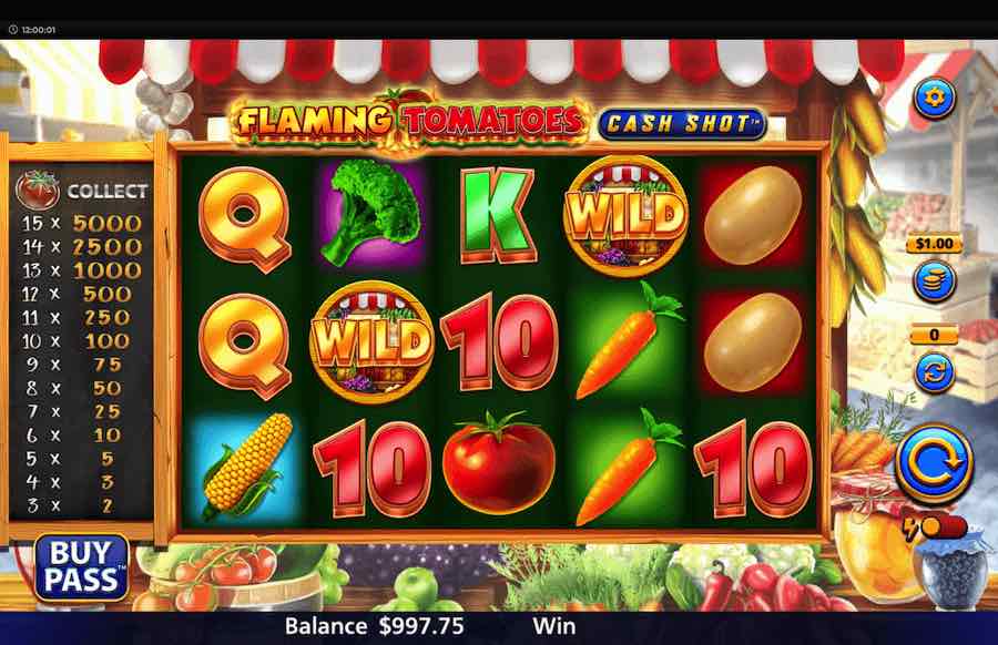 Flaming Tomatoes Cash Shot Slot Base Game