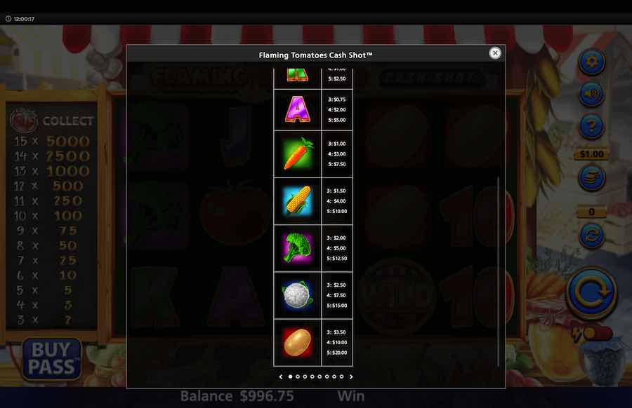 Flaming Tomatoes Cash Shot Slot Paytable