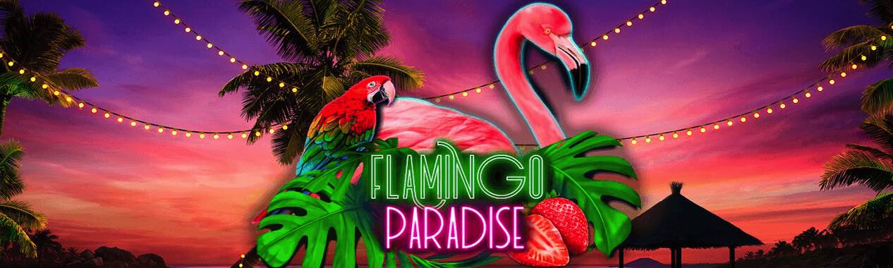 Flamingo Paradise Slot