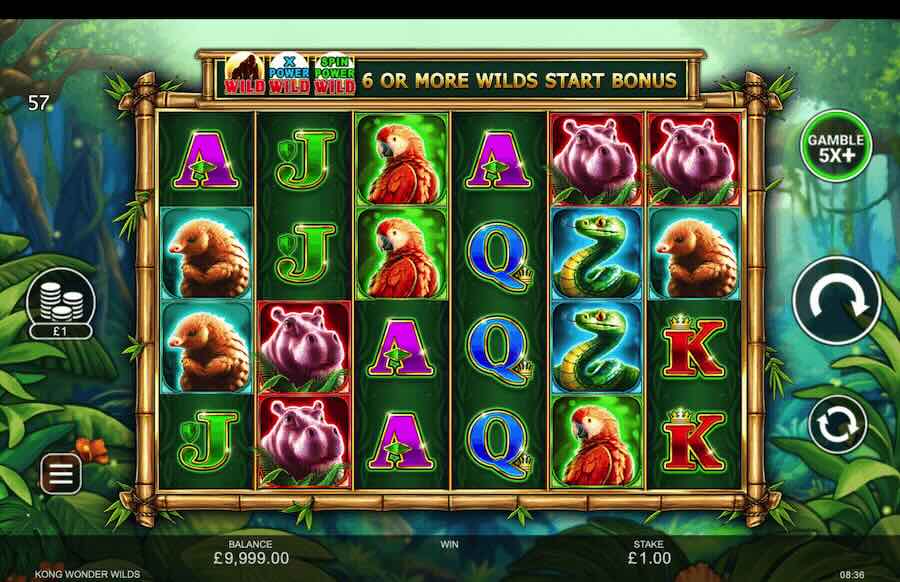 Kong Wonder Wilds Slot Base Game