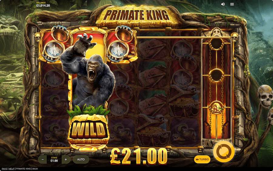 Collect Special Coins To Enhance The Wild Modifier In Primate King Video Slot