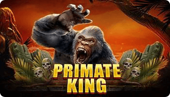 Primate King Slot Review