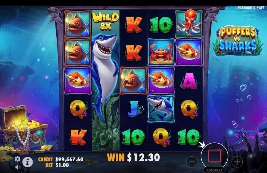 Puffers Vs Sharks Slot Free Spins Feature