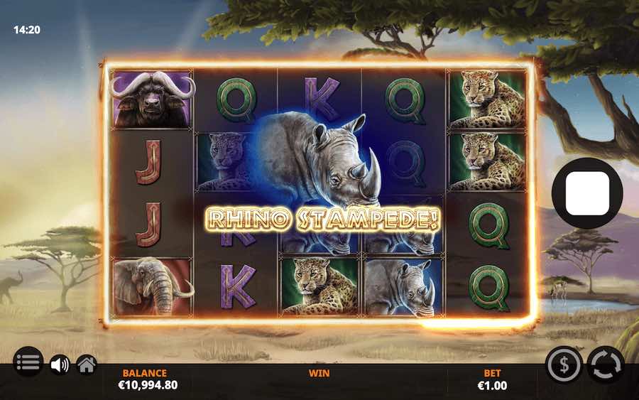 Savanna Roar Video Slot Includes 6 Base Game Modifiers And A Free Spins Bonus Feature