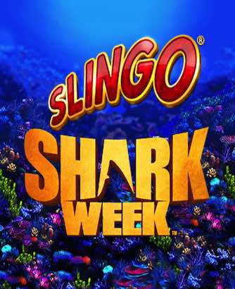 Slingo Shark Week Online Game