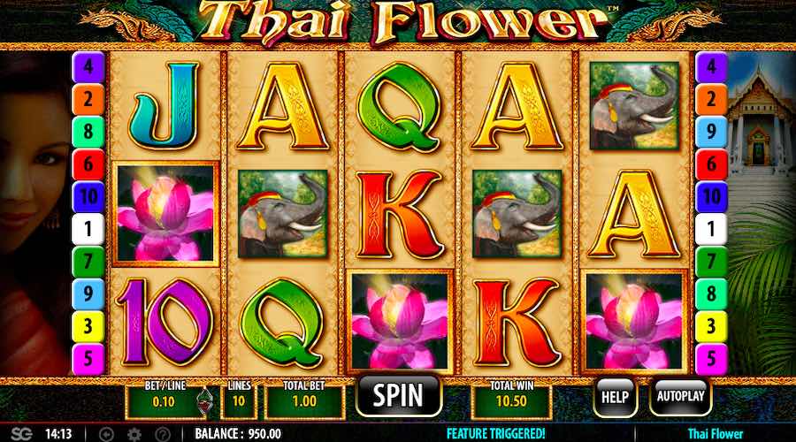 Win Up To 2,500x Your Stake And Play Across 10 Paylines On The Thai Flower Online Slot From Game Provider Sg Gaming