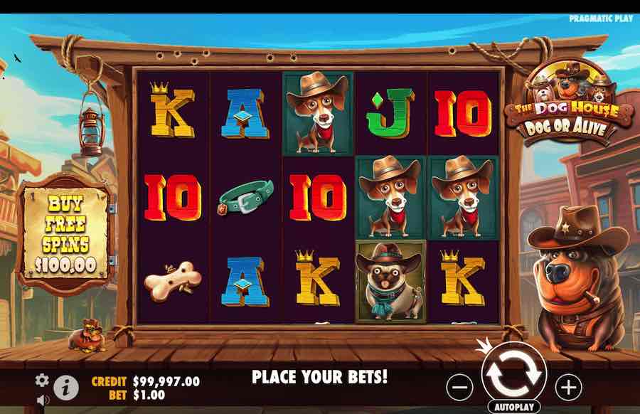 The Dog House Dead Or Alive Slot Base Game