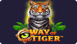 Way of the Tiger Slot Review