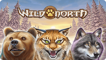 Wild North Slot Review